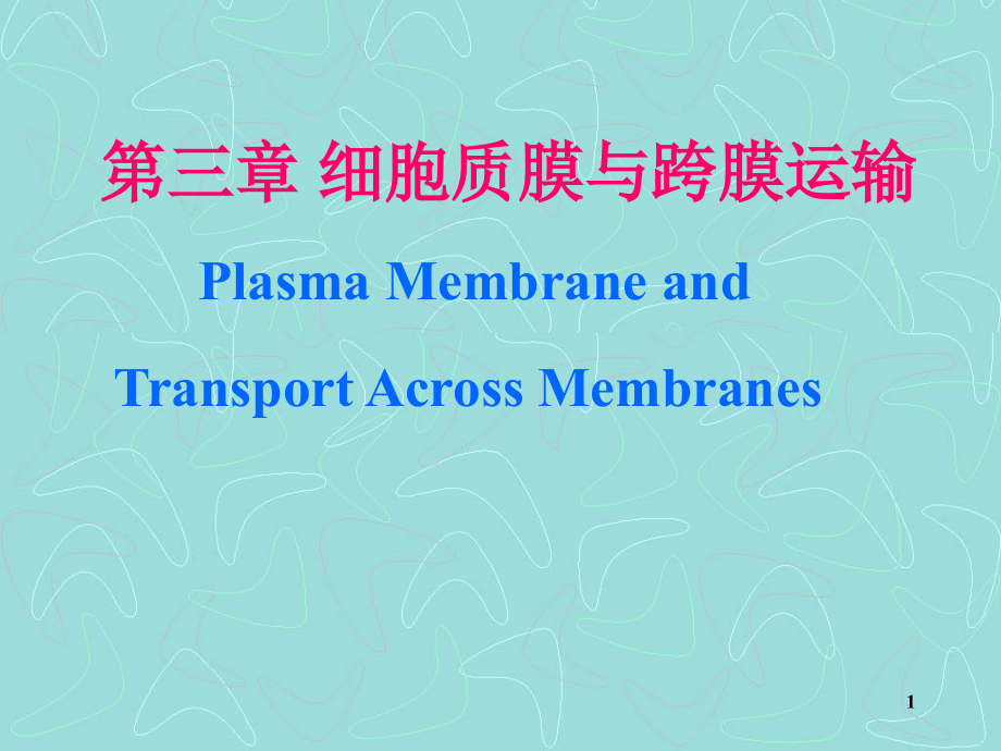第三章 细胞质膜与跨膜运输PPT课件_第1页