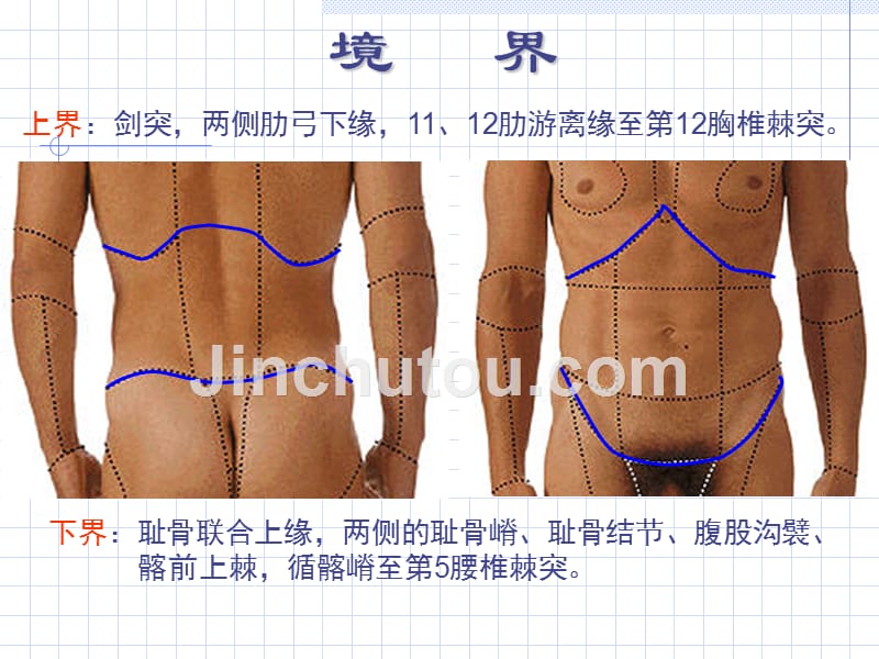 [局部解剖学]临床常用免疫学检查_第2页