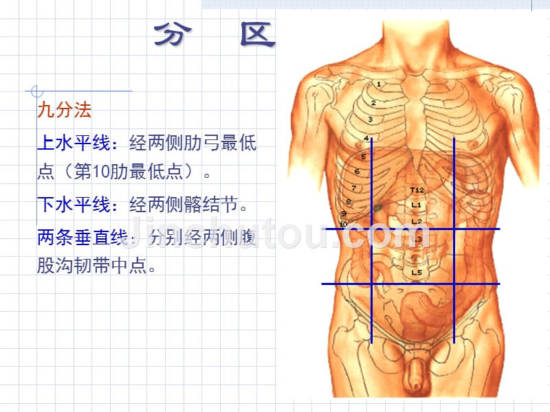 [局部解剖学]临床常用免疫学检查_第3页