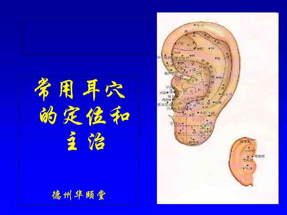 常用耳穴的定位和主治PPT课件_第1页