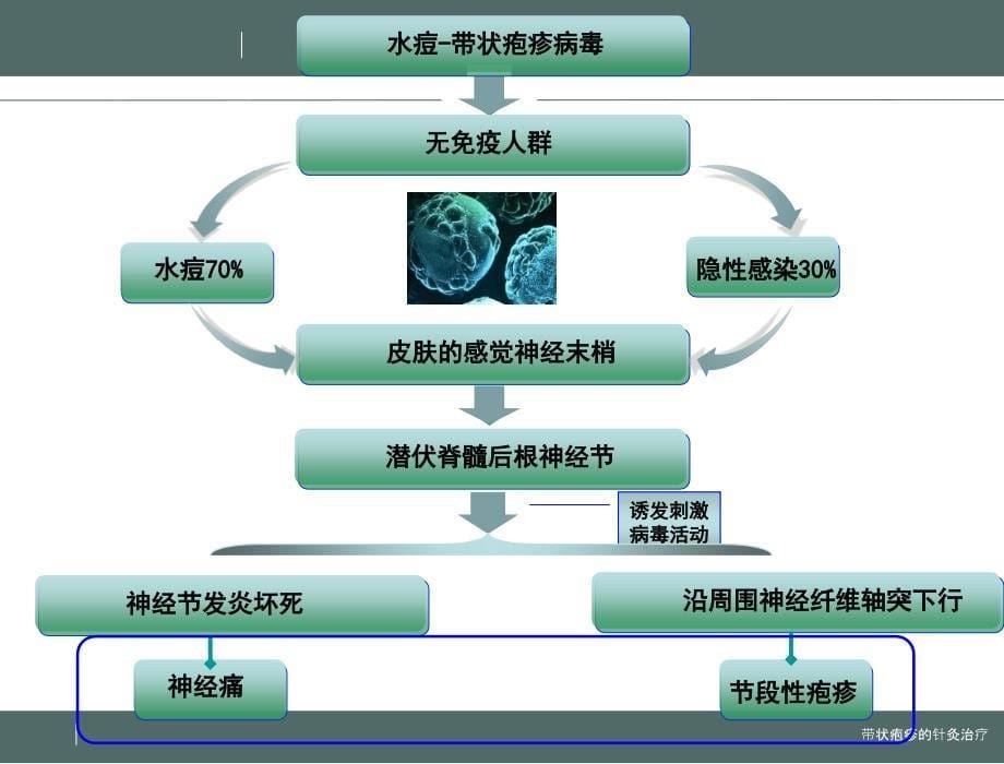 带状疱疹中医治疗2018.9.16PPT课件_第5页