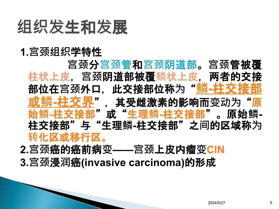 宫颈癌全科师资培训教学——课件PPTPPT课件.pptx_第5页