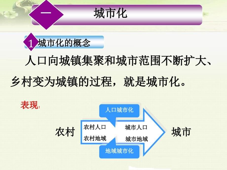 人教版高中地理必修二《2.3城市化》课件_第5页