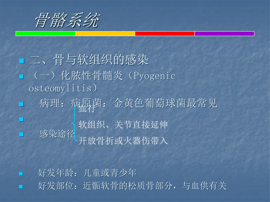 骨骼肌肉系统影像学知识PPT课件_第2页