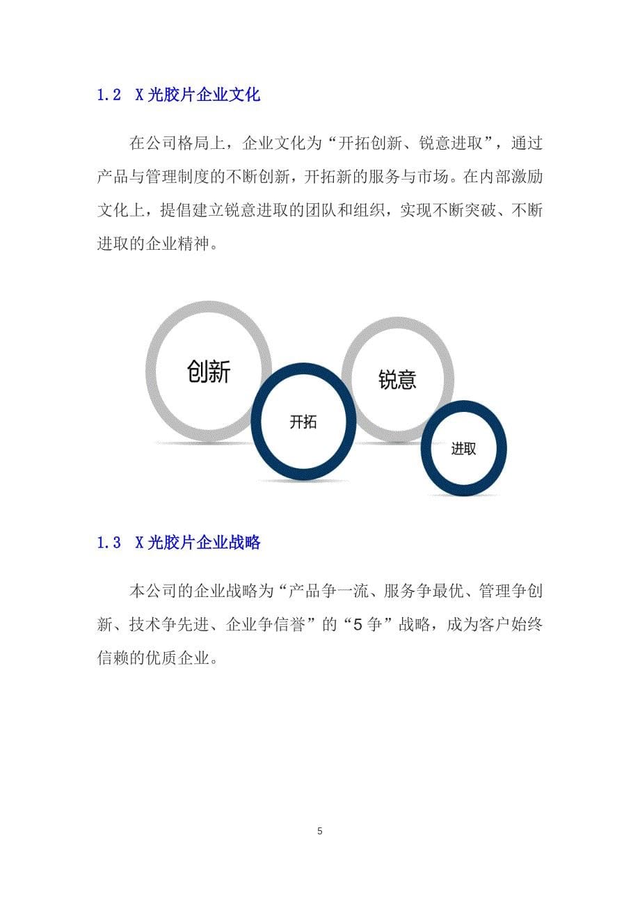 2020X光胶片行业发展战略经营计划_第5页