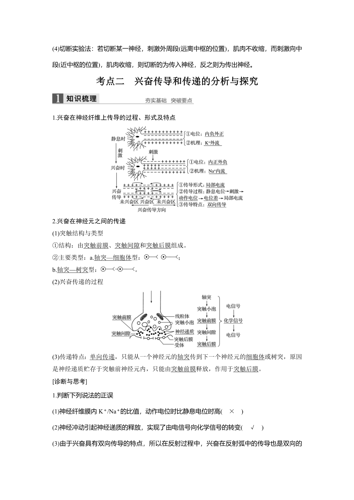 人和高等动物的神经调节讲义.doc_第5页