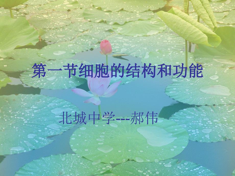 初一生物_细胞的结构和功能PPT课件_第1页