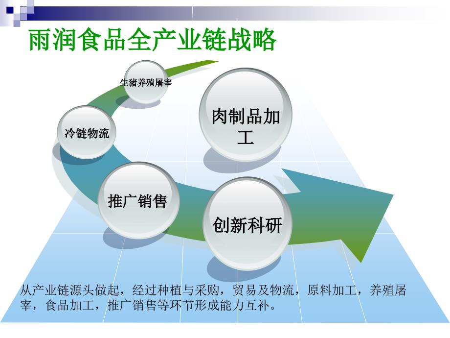 雨润案例分析.ppt_第3页