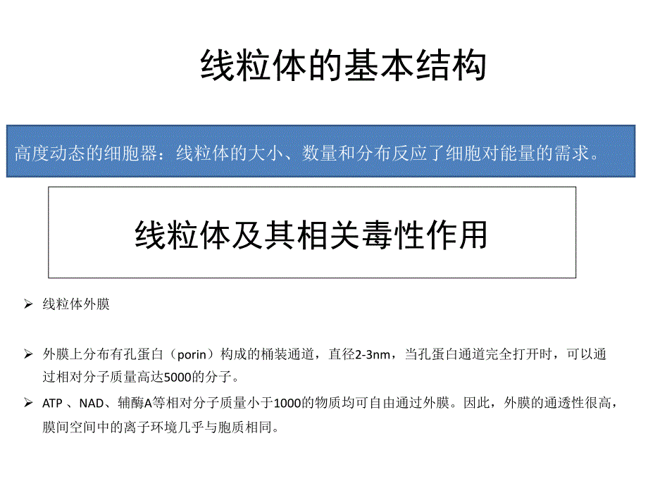 第三章 线粒体功能及其相关毒性作用PPT课件_第1页