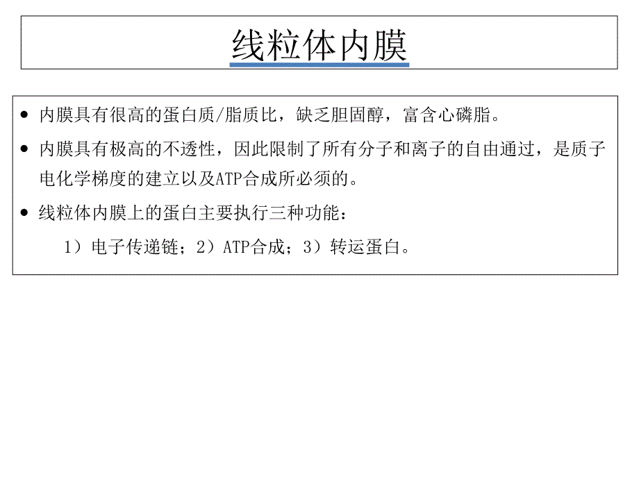 第三章 线粒体功能及其相关毒性作用PPT课件_第2页