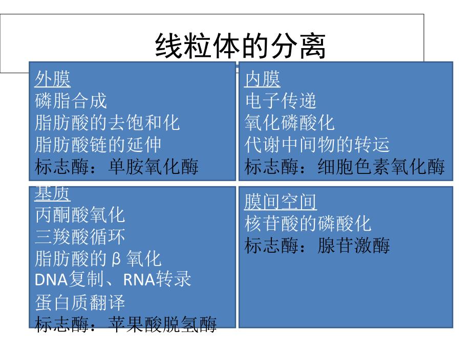 第三章 线粒体功能及其相关毒性作用PPT课件_第4页