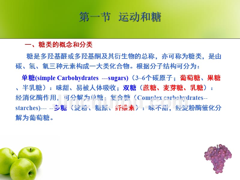 运动营养学ppt.ppt_第5页