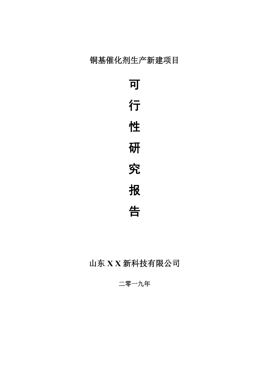 铜基催化剂生产新建项目可行性研究报告-可修改备案申请_第1页