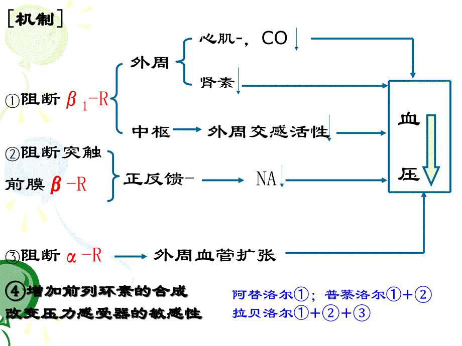 第五讲 高血压的药物治疗_第4页