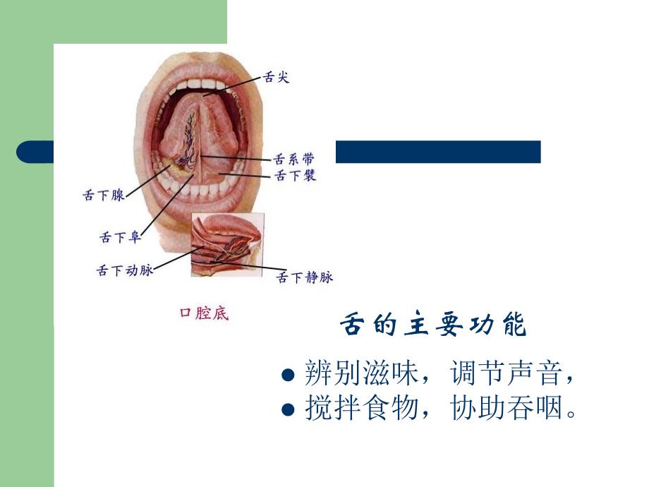 舌诊 图片较全_第3页