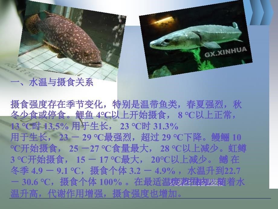 主要养殖性鱼类对环境条件的要求_第5页