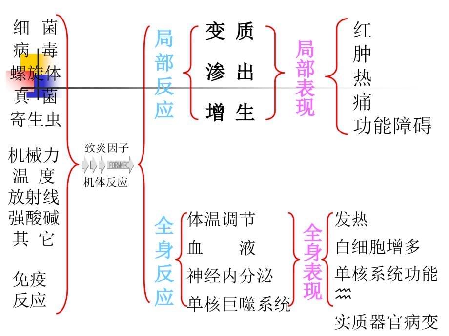 第四章：炎症_第5页