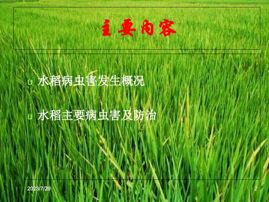 水稻病虫害防治教学文案_第2页
