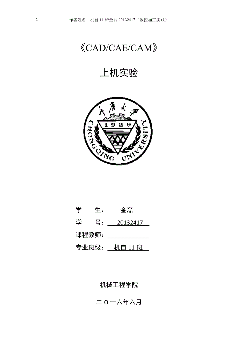 （数控加工）重大数控加工课程设计报告_第1页