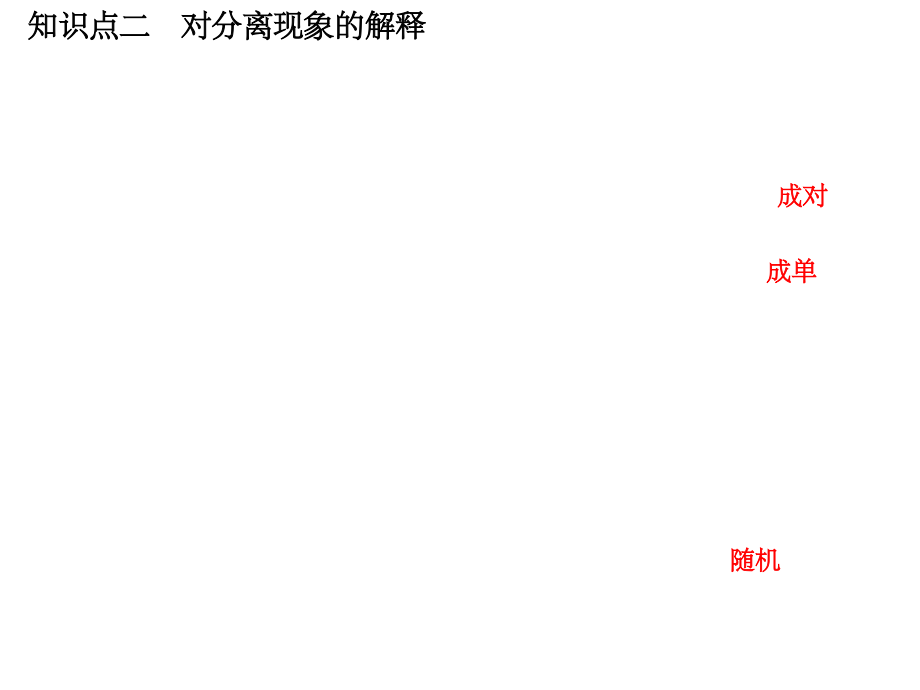 基因的分离定律PPT课件_第4页