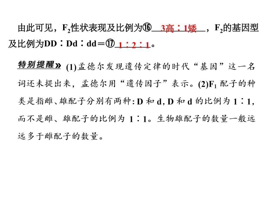 基因的分离定律PPT课件_第5页