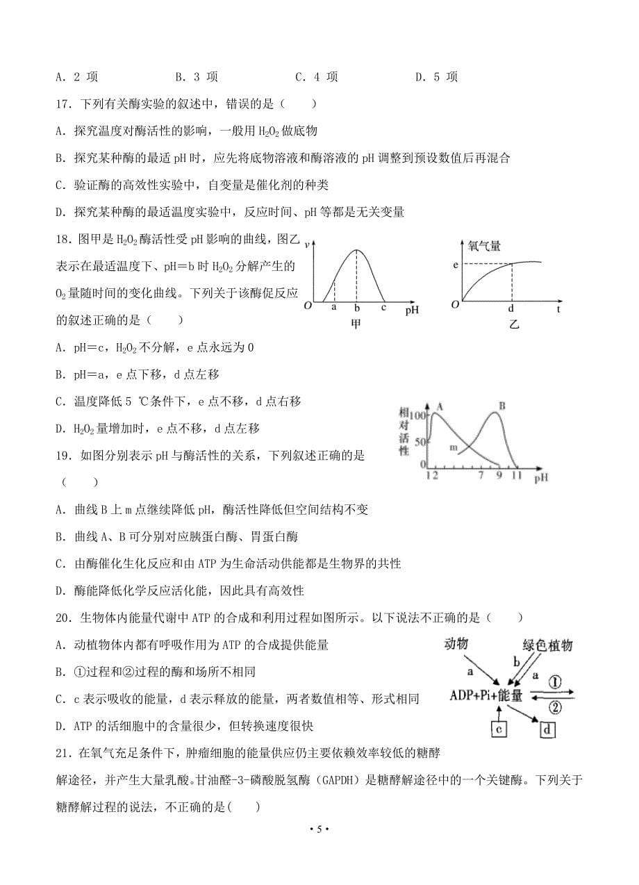 甘肃省武威第一中学2020届高三12月月考 生物_第5页