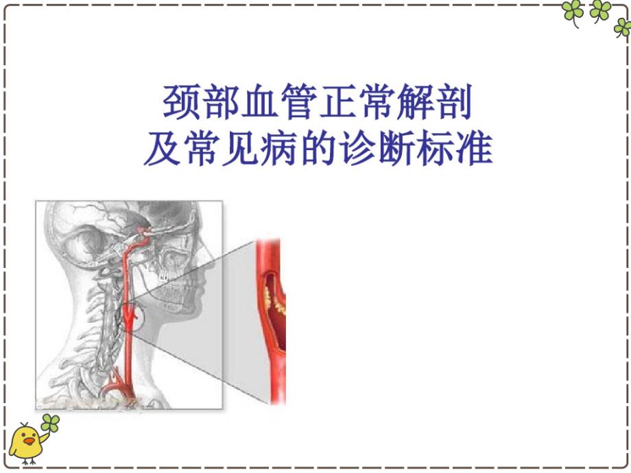 颈部血管解剖PPT课件_第1页