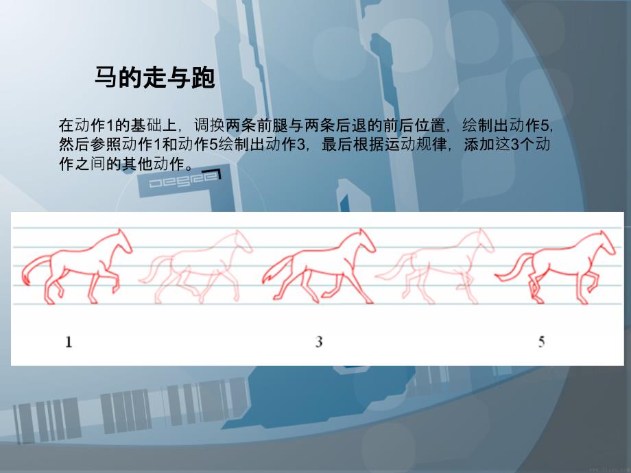 动物运动规律33387PPT课件_第3页