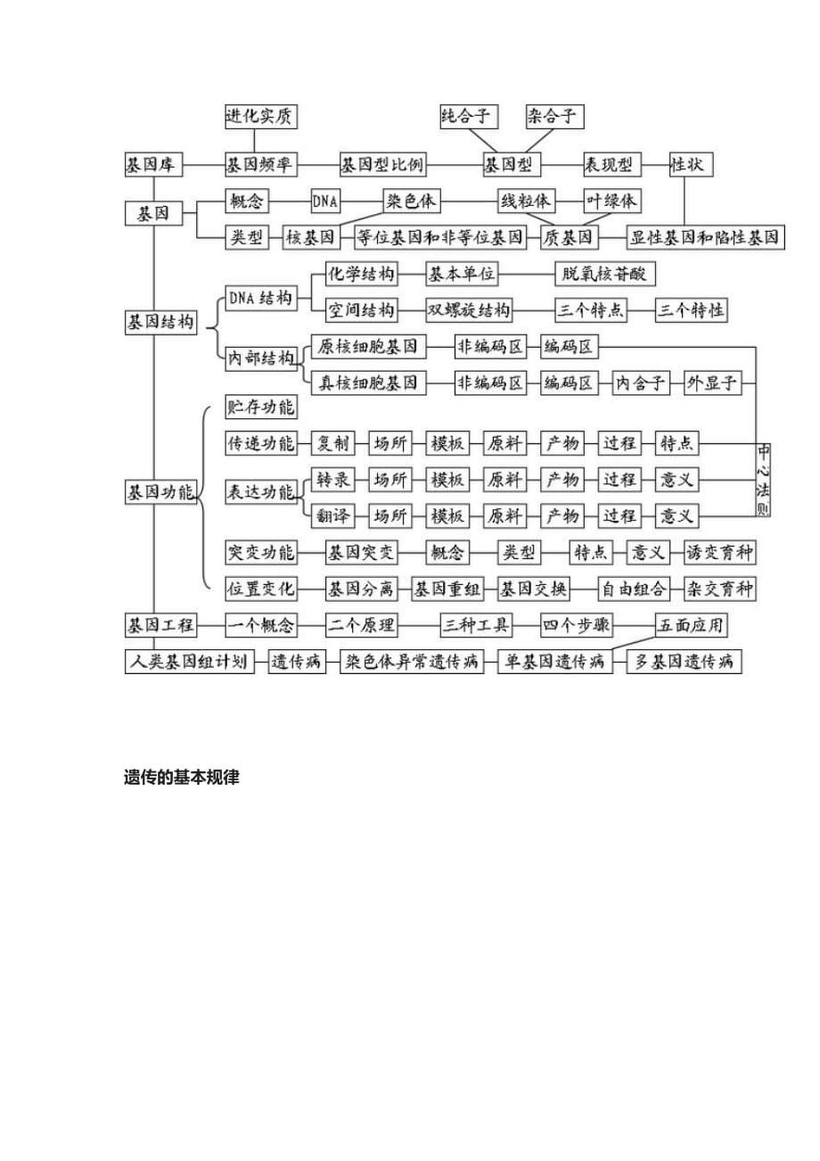 高中生物知识结构图全汇总_第5页