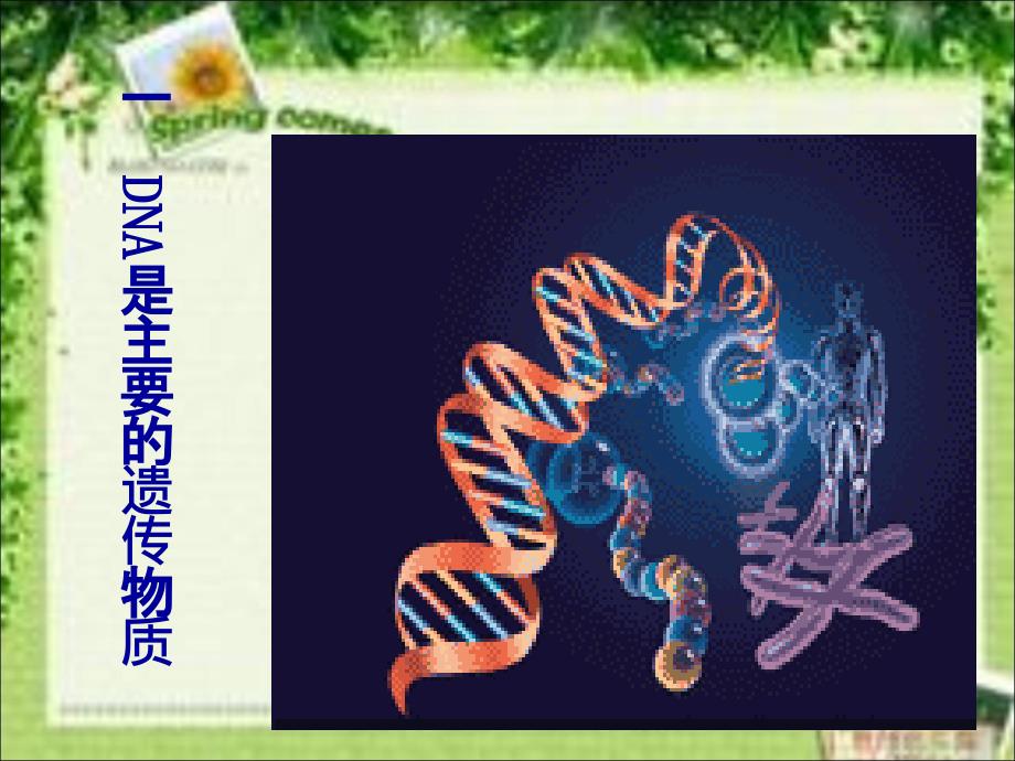 高中生物必修二-DNA是主要的遗传物质PPT课件_第2页