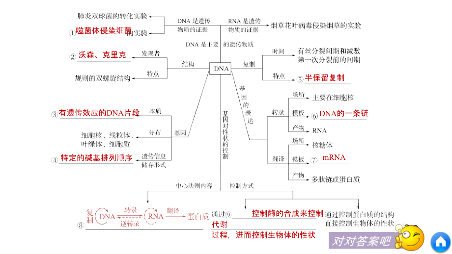 二轮复习遗传分子基础PPT课件_第4页