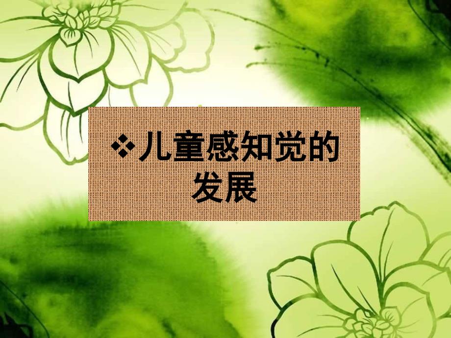 儿童感知觉的发展PPT课件_第1页