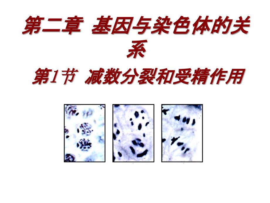 高中生物必修二第二章第一节 减数分裂和受精作用PPT课件_第1页