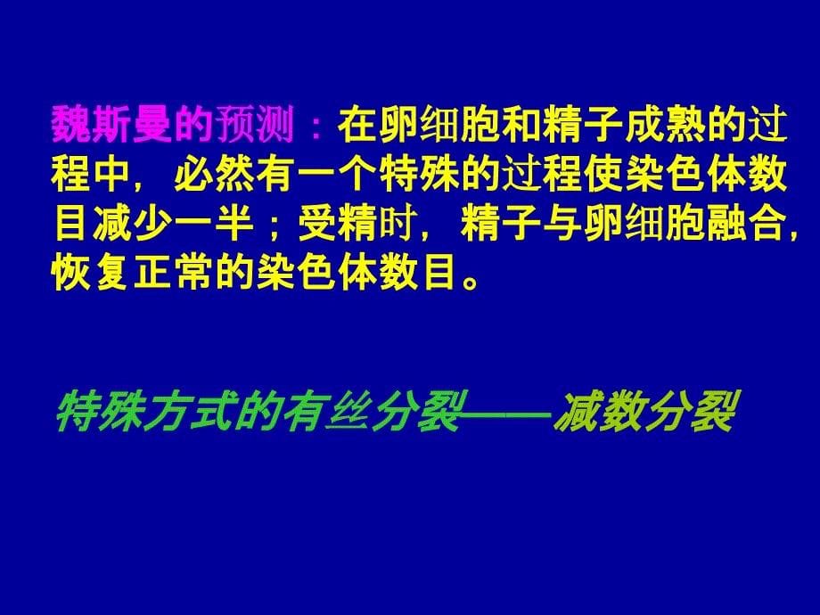 高中生物必修二第二章第一节 减数分裂和受精作用PPT课件_第5页