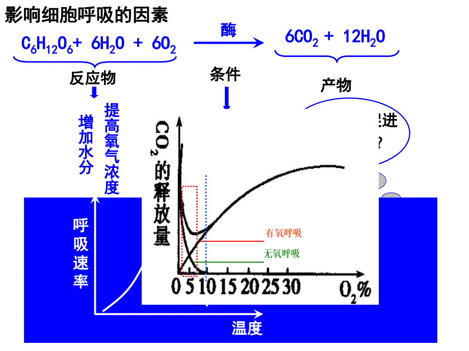 酵母菌细胞呼吸方式探究PPT课件_第4页