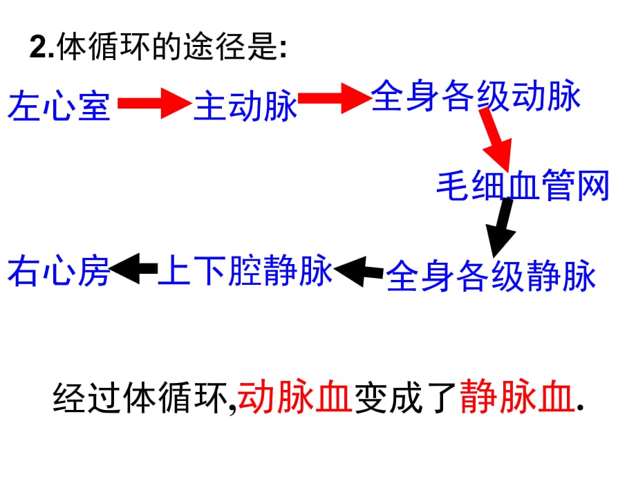 人体内废物的排出.说课讲解_第2页