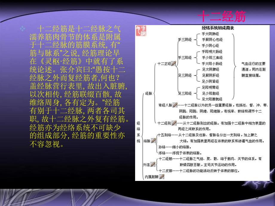 经筋理论参考课件_第3页