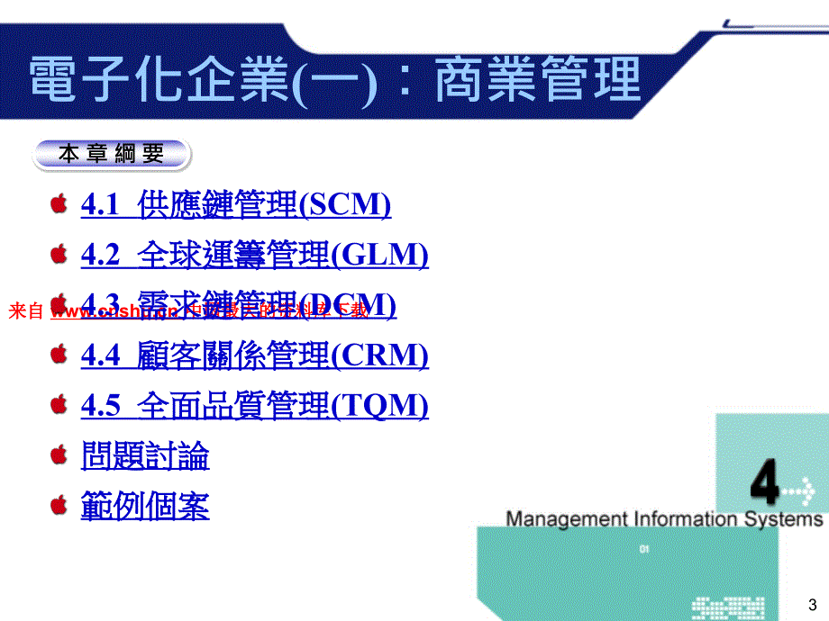 电子化企业的管理咨询系统知识简要_第3页