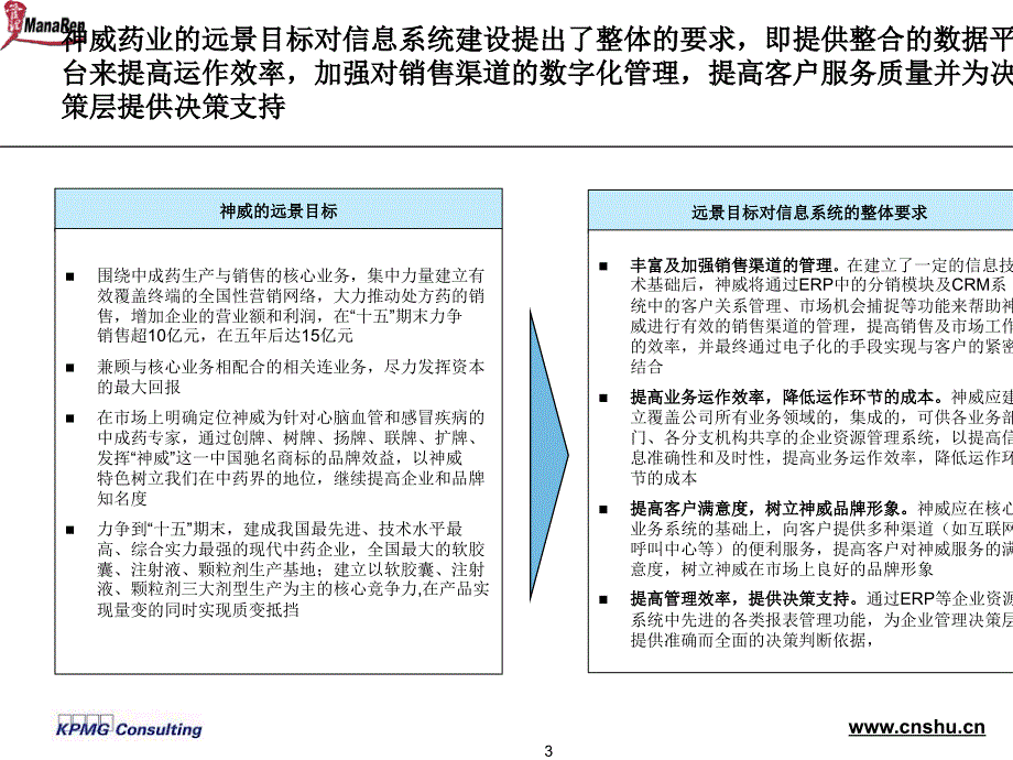 神威药业信息技术发展战略报告_第3页