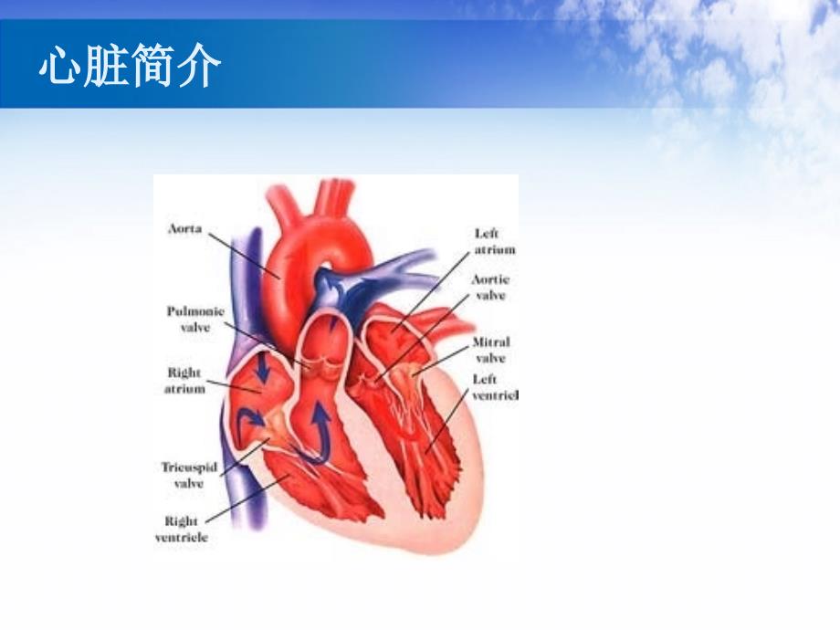 机械通气与心衰参考课件_第2页