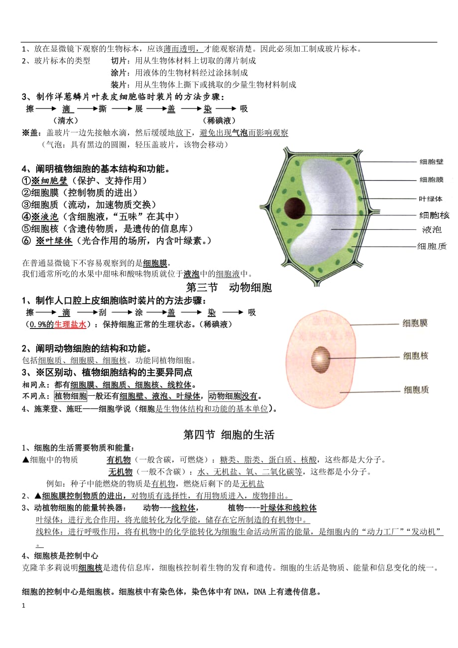 人教版七年级生物上册知识点总结讲解材料_第3页