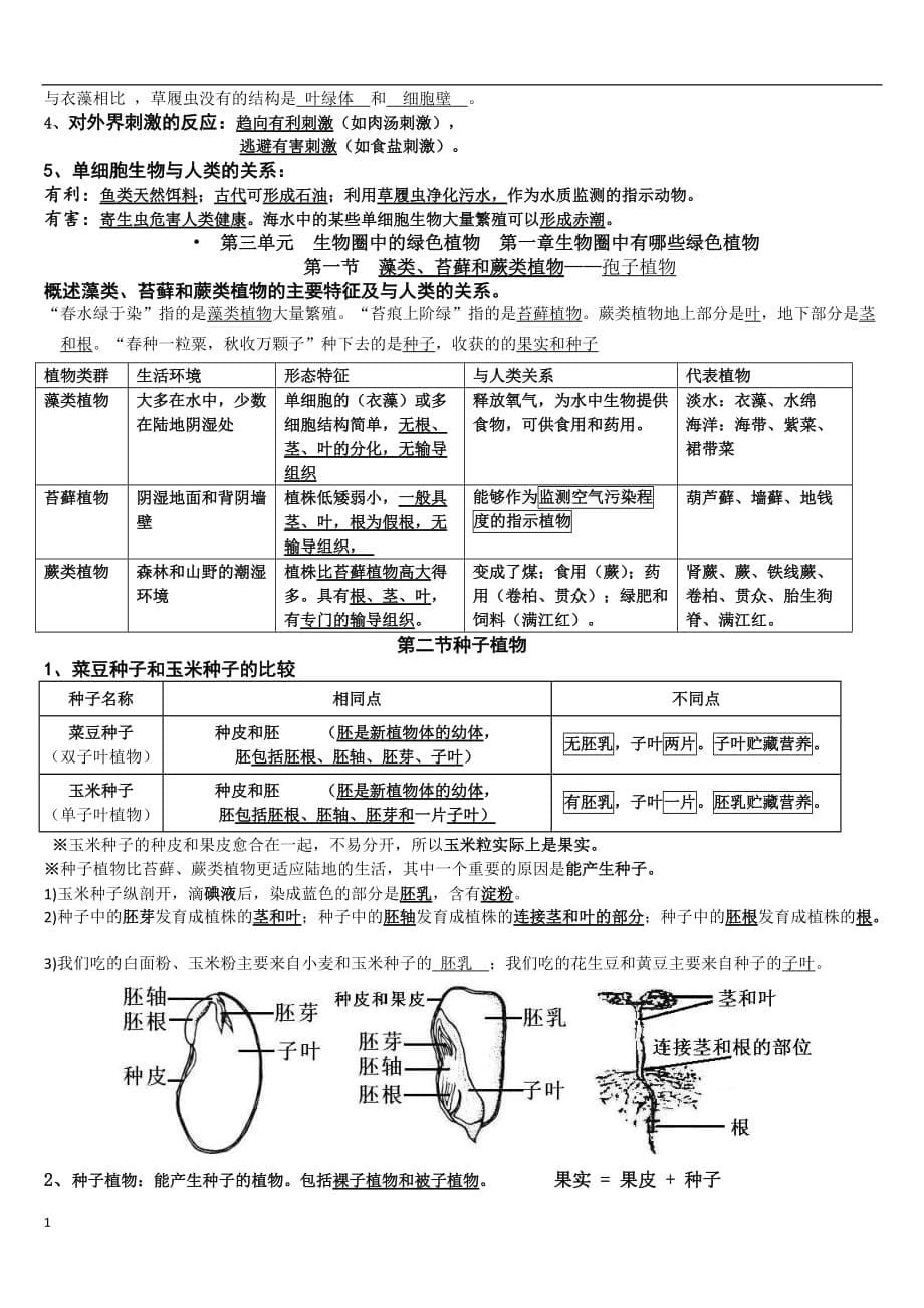 人教版七年级生物上册知识点总结讲解材料_第5页