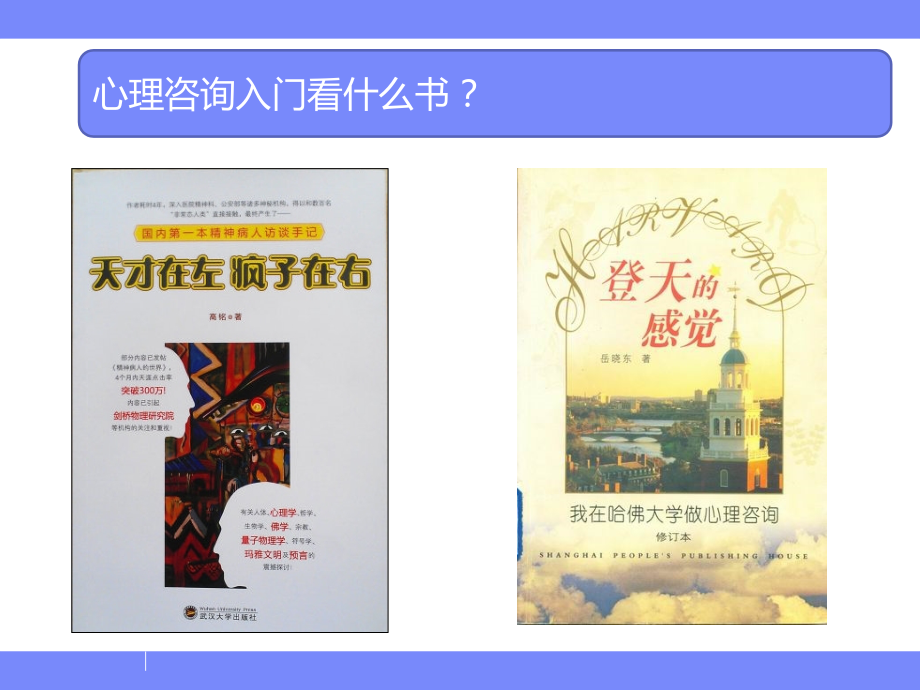 孕妇和咨询师求助者 - 瀚思心理学院.ppt_第4页