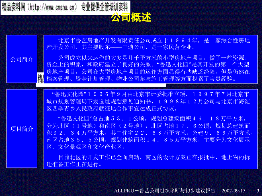 房地产开发公司组织诊断与初步建议报告_第3页