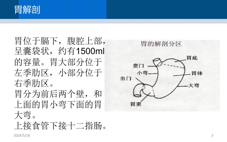 胃部手术参考课件_第3页