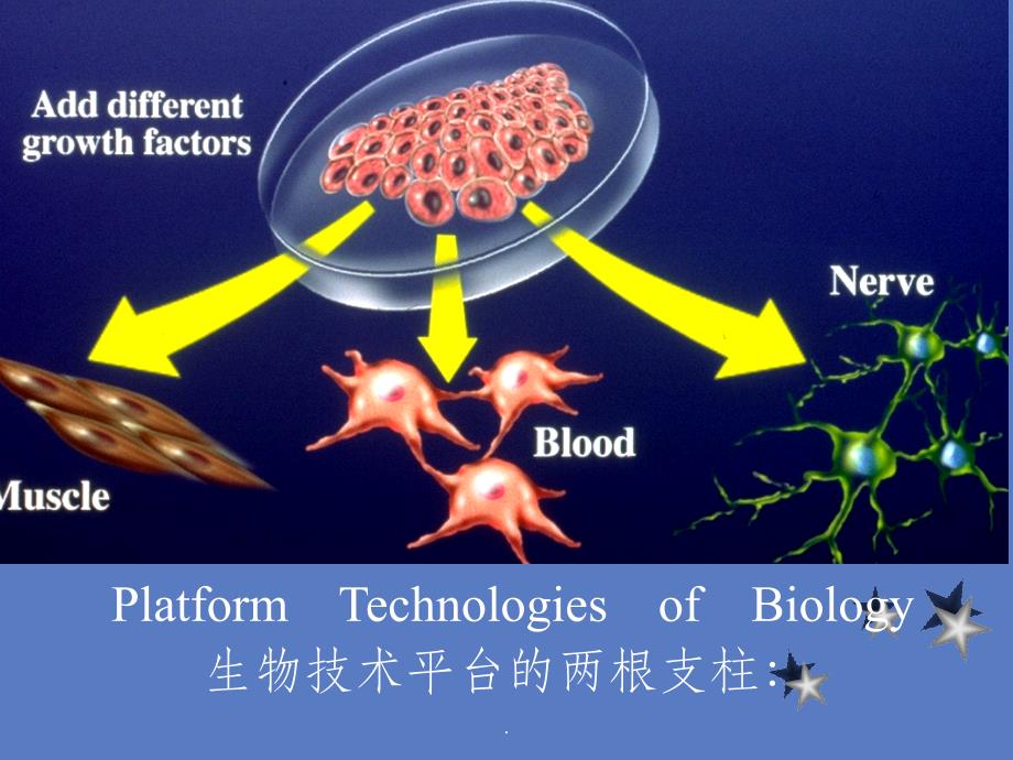 浙江大学细胞培养-绪论ppt课件_第1页