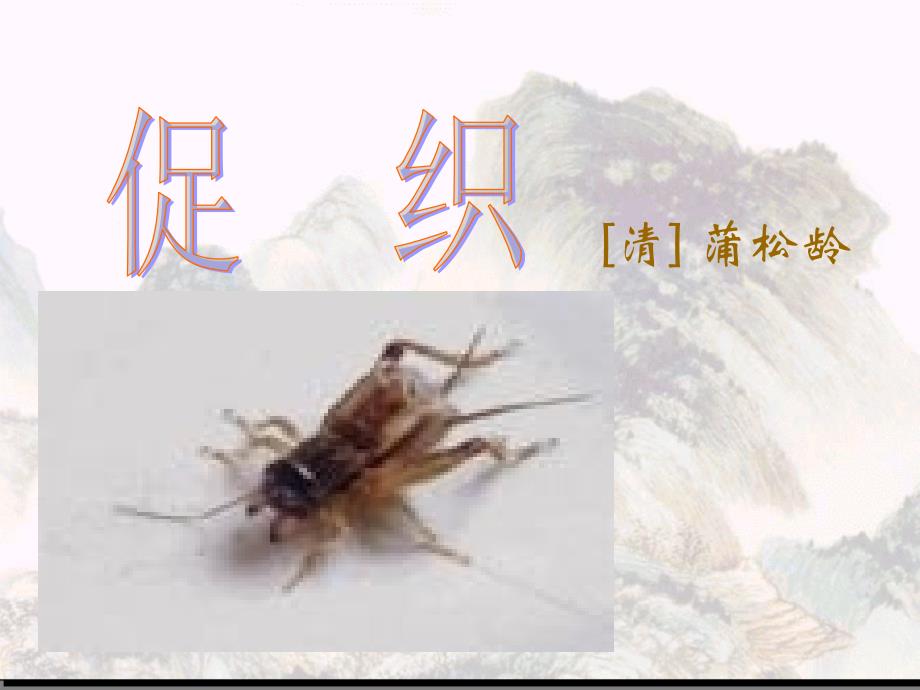 促织课件12345_第1页