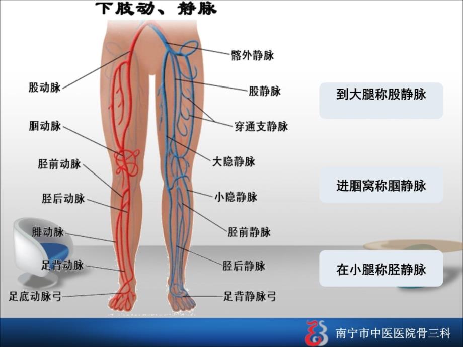 深静脉血栓的护理查房备课讲稿_第3页