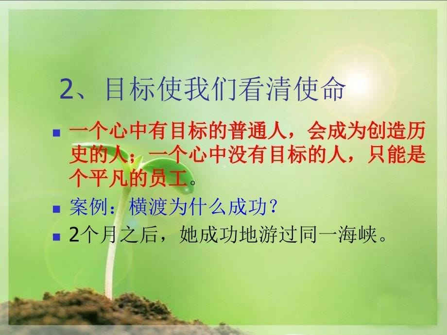 目标管理的原则与重要性_第5页