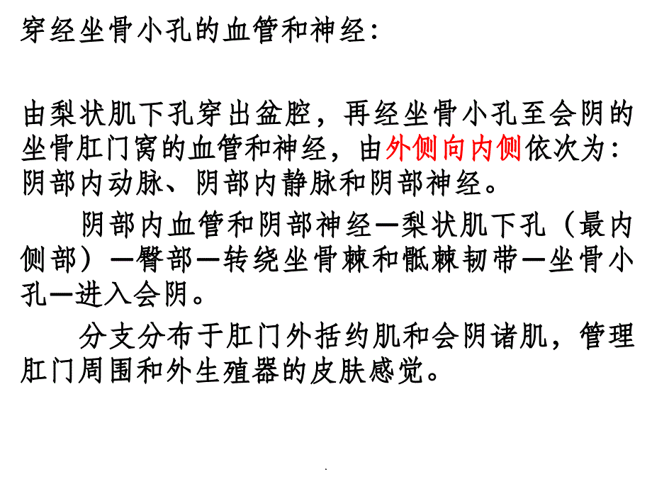 下肢体表标志及重要结构ppt课件_第4页